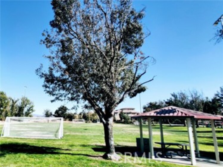 31082 Strawberry Tree Lane Photo